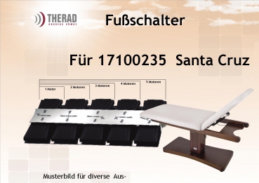 Fußschalter für Santa Cruz